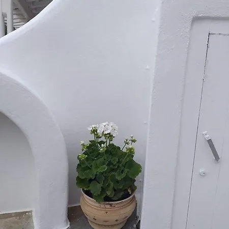 Casa vacanze Mykonian Summer House